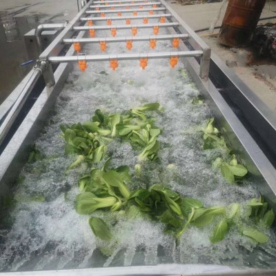 多功能蔬菜清洗机果蔬清洗设备菠菜清洗机