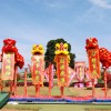 合肥寿宴婚礼舞狮-节日庆典-承接开业 庆典 年会