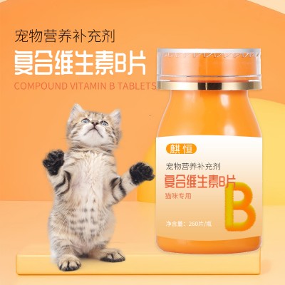 复合维生素B片宠物营养补充剂