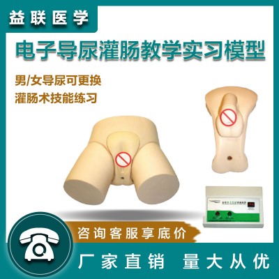 益联医学电子导尿灌肠教学实习模型