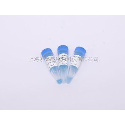 硝酸纤维素膜规格
