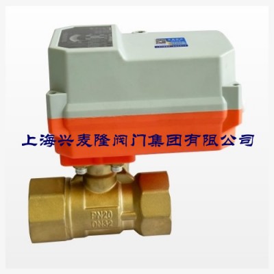 上海兴麦隆 BV405S电动调节球阀 内螺纹 介质水乙二醇