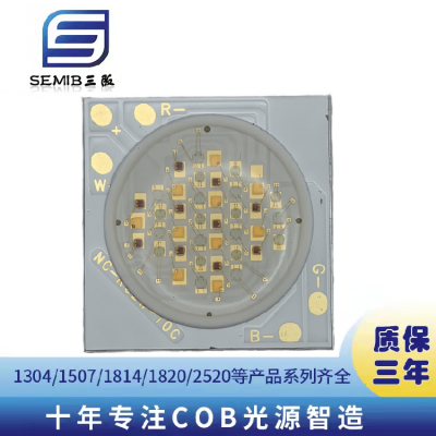 1919RGBW多彩COB光源40W人像美颜补光摄影灯
