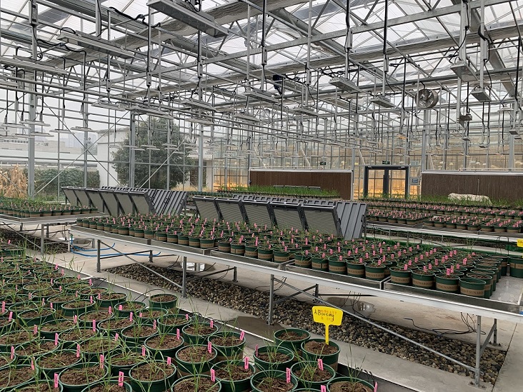 实验室桁架植物表型平台
