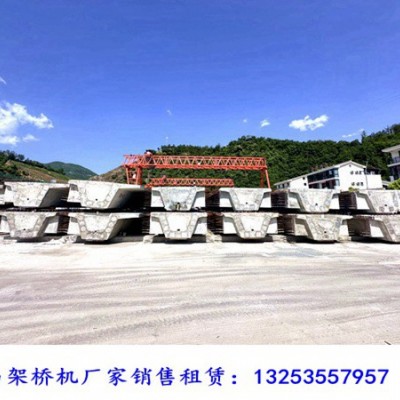 陕西咸阳龙门吊出租公司如何选择适合的起重机安全装置
