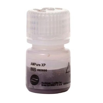 小鼠抗GAPDH单克隆抗体0.1ml