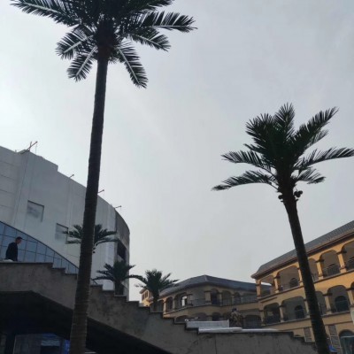 景区古树避雷针 支持加工定制 防雷检测 防护等级IP55