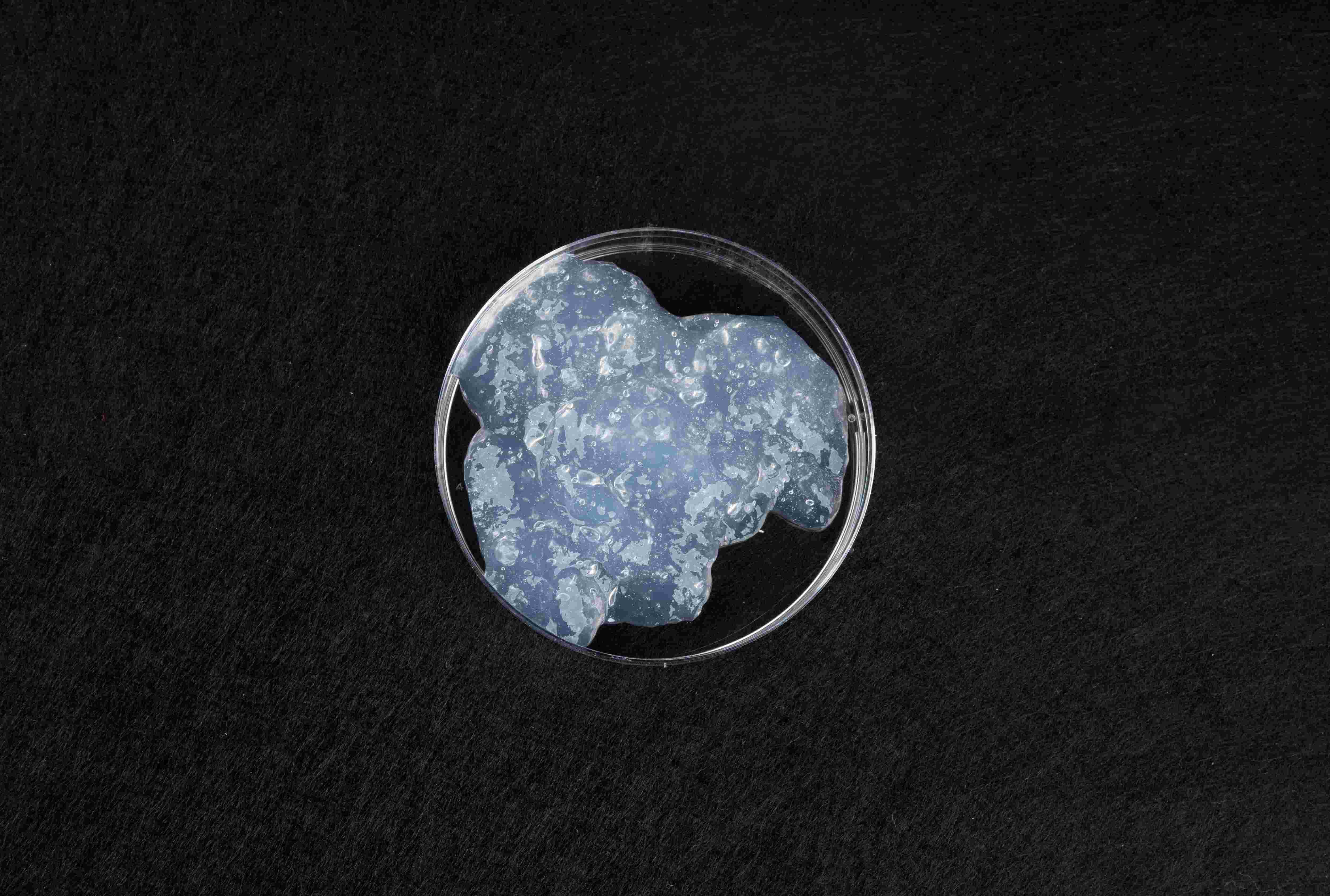 TEMPO氧化纤维素纳米纤丝，生物质纳米材料，纳米纤维素厂家