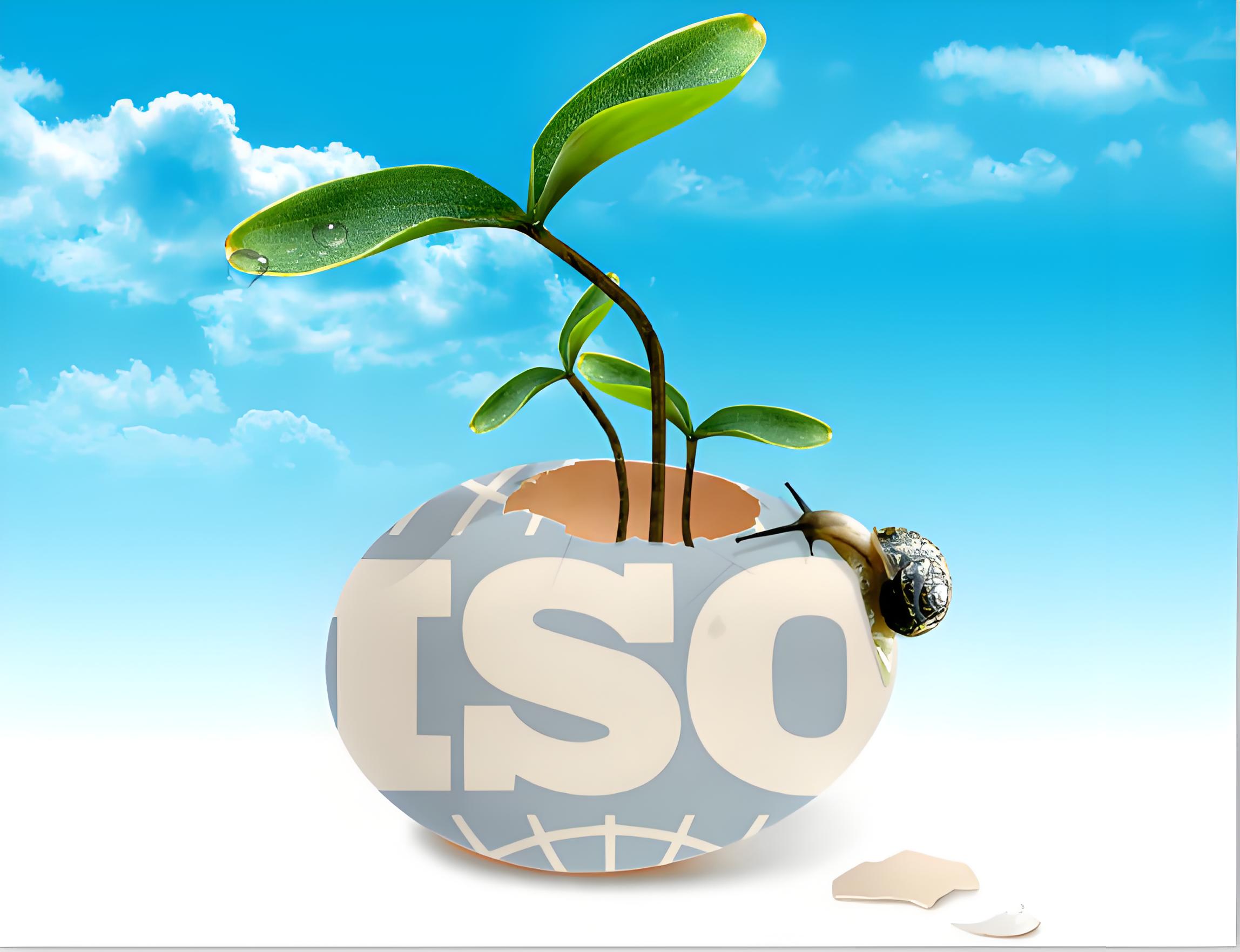 护航医疗器械质量：ISO 13485认证的战略价值