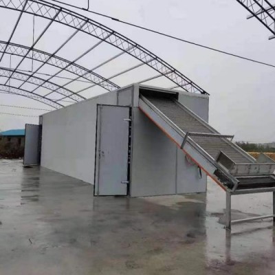 大型连续式牧草燕麦干燥设备带式食品烘干机