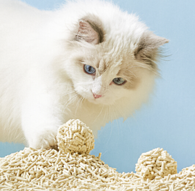 猫砂进口清关