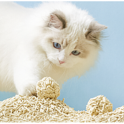 猫砂进口代理