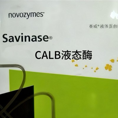 诺维信 Lipozyme CALB L 脂肪酶