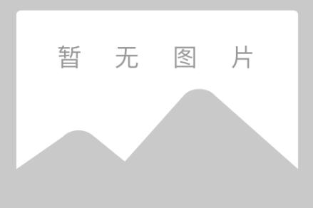 HAKKO白光电焊台
