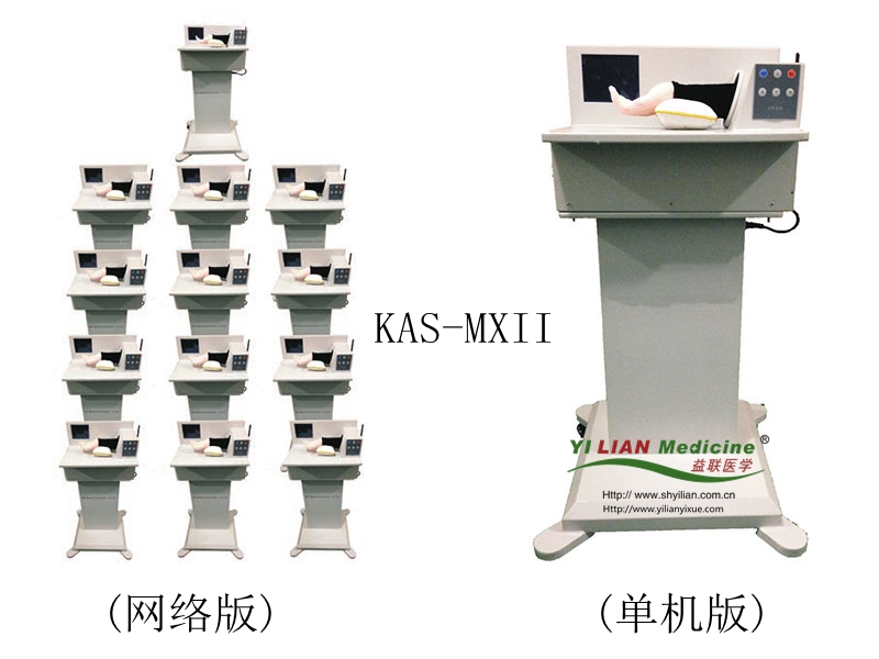 益联医学脉象训练仪 脉象诊断训练模型