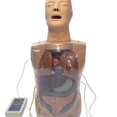 [益联医学]三腔二囊管训练模型