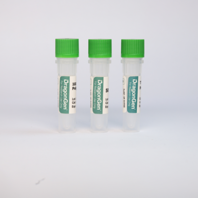 T7 RNA Polymerase