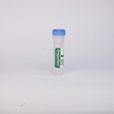 天冬酰胺酶(Asparaginase)